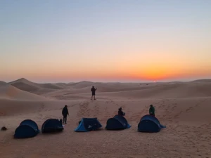 arabian wanderers desert camping