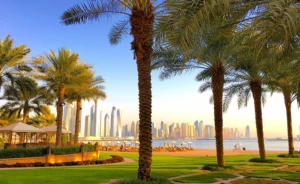 dubai palm trees