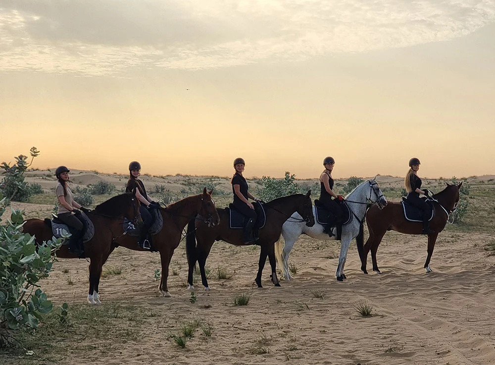 al dhabi horse riding group