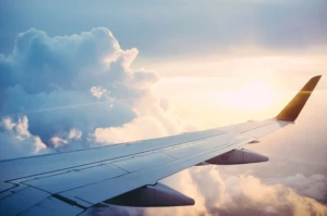 aeroplane wing
