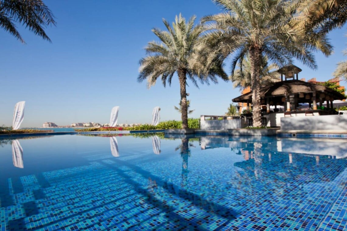 swimming pool with palm trees