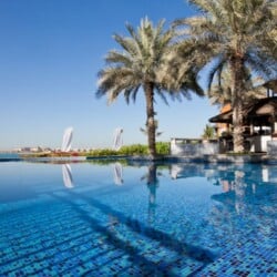 swimming pool with palm trees