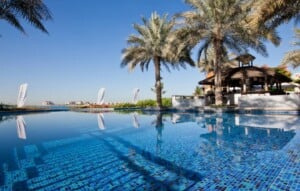 swimming pool with palm trees