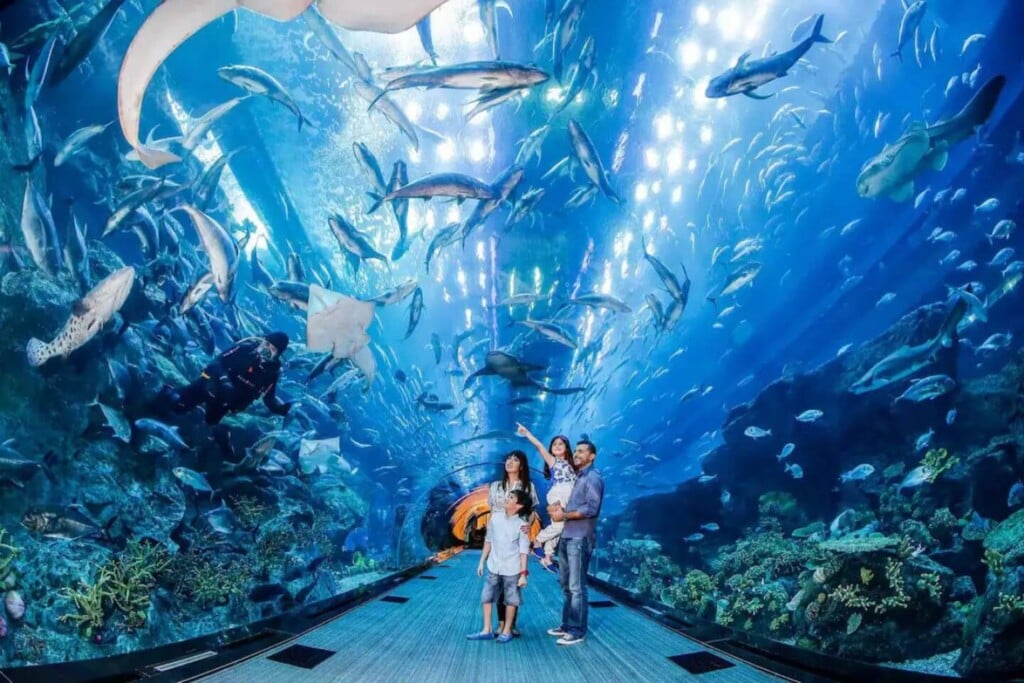 dubai aquarium