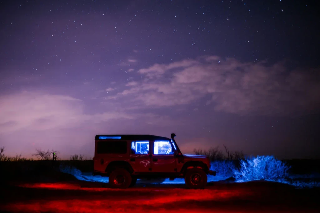 night time safari